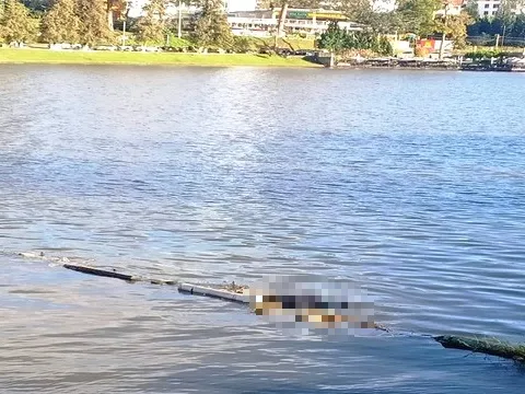 Phát hiện thi thể người đàn ông nổi trên hồ Xuân Hương Đà Lạt