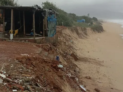 Sạt lở bờ biển nghiêm trọng, Bình Định sơ tán khẩn cấp gần 20 hộ dân