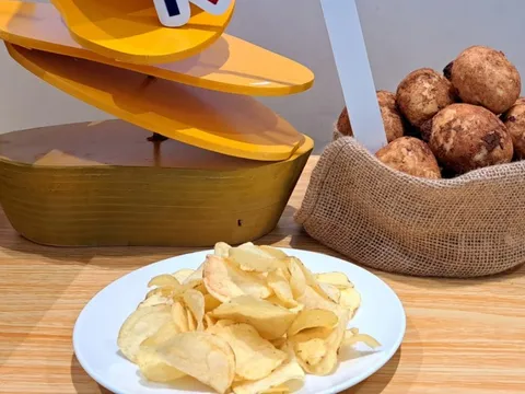 Trồng khoai tây làm snack, nông dân lãi đến 100 triệu đồng/ha
