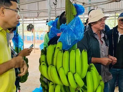 Bầu Đức trong chuyến thực địa: "Tôi không bao giờ chơi chứng khoán"