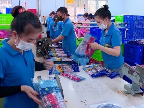 Đồng Nai: Doanh nghiệp FDI chiếm 74,3% trong tổng kim ngạch xuất khẩu
