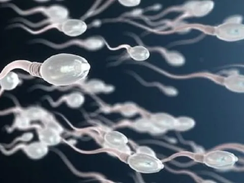 Suy giảm tinh trùng do sai lầm khi bổ sung testosterone