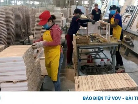 Tỷ lệ doanh nghiệp tận dụng ưu đãi thuế quan trong EVFTA còn rất thấp