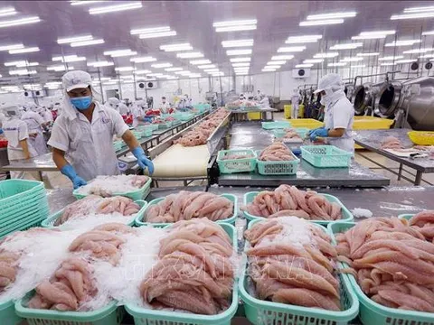 Xuất khẩu cá tra tăng chậm