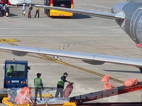 Kiểm soát chặt vận chuyển sau khởi tố vụ buôn lậu qua chuyến bay giải cứu