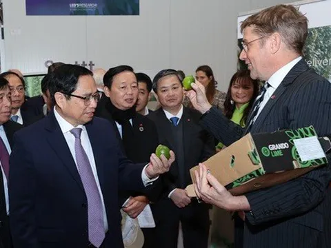 Thủ tướng Phạm Minh Chính bất ngờ với bưởi năm roi, chanh không hạt của Việt Nam giữa châu Âu