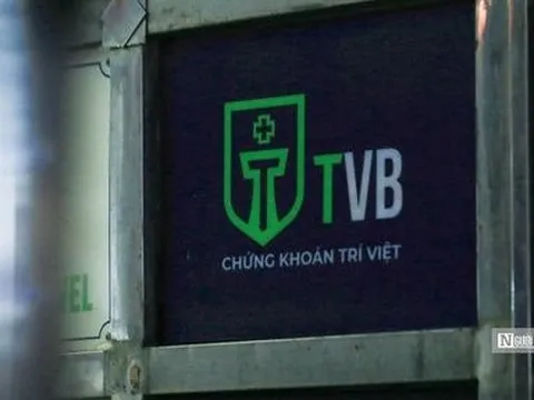 Chủ tịch bị khởi tố, Trí Việt bổ nhiệm người đại diện pháp luật mới