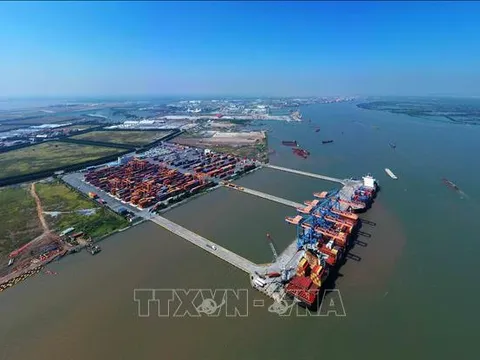 Cảng VIMC Đình Vũ được thí điểm khai thác tàu container trong 6 tháng