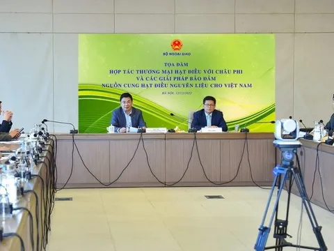 Xây dựng chuỗi phát triển bền vững trong hợp tác thương mại hạt điều với châu Phi