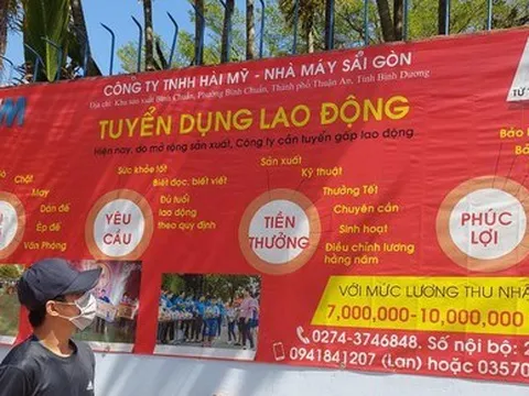 Ráo riết tuyển lao động thời vụ