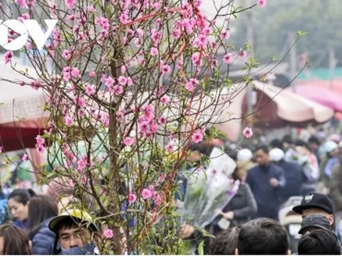 Học sinh Hà Nội được nghỉ Tết Nguyên đán Quý Mão 2023 bao nhiêu ngày?