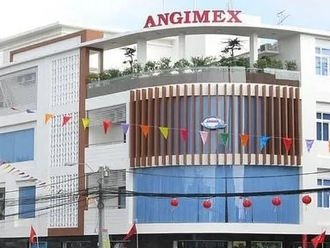 Lý do Angimex bất ngờ hoãn tổ chức ĐHĐCĐ bất thường 2022