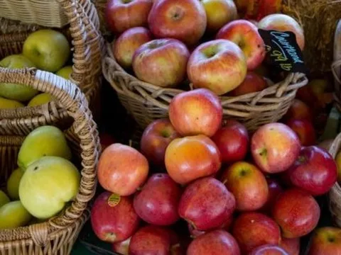 7 loại trái cây giúp bạn giảm cân hiệu quả