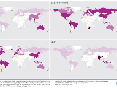 WHO: Hai biến chủng COVID-19 chiếm lĩnh Nam - Đông Nam Á không phải BQ.1