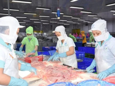 Mục tiêu xuất khẩu cá tra năm 2023 đạt 2,3 tỷ USD