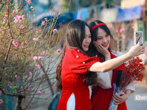 Thiếu nữ Hà Thành khoe sắc bên hoa đào đầu mùa nở sớm