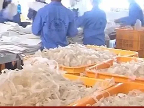 Việt Nam phải nhập khẩu 90% rong biển