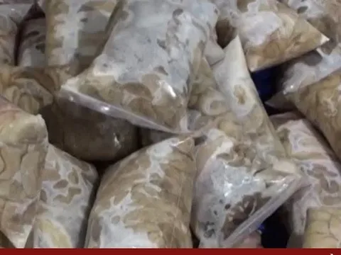 Cận cảnh kho thực phẩm bẩn lên tới 25 tấn sắp bán ra thị trường