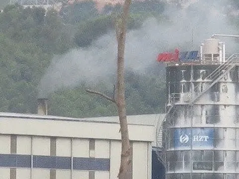 Thanh Hóa: Một công ty bị phạt hơn nửa tỷ đồng vì xả thải sai quy định