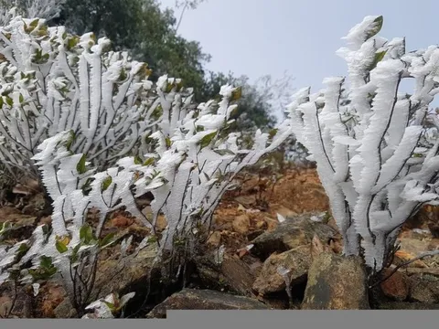 Xuất hiện băng tuyết tại vùng núi cao Tây Nghệ An