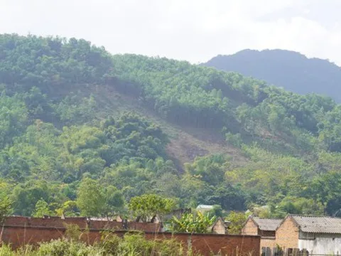 Tạm dừng dự án hơn 1.200 tỷ ở Thanh Hóa, kiểm điểm nhiều tập thể, cá nhân