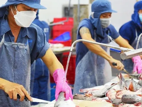 Cá tra dự kiến thu 2,4 tỷ USD xuất khẩu