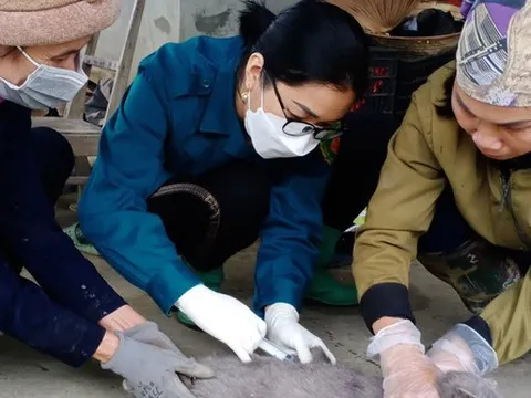 Bệnh dại gây chết người nhưng phòng tránh được