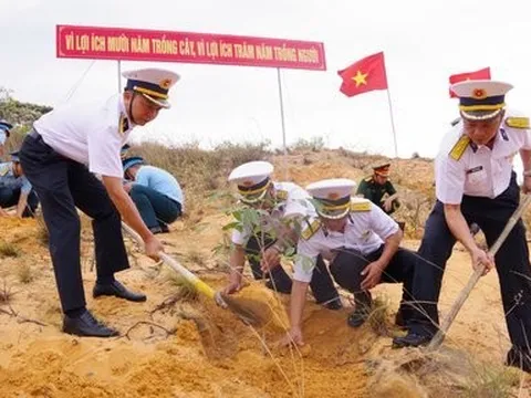 Cán bộ, chiến sĩ Lữ đoàn 146 trồng hơn 300 cây xanh, cây bóng mát