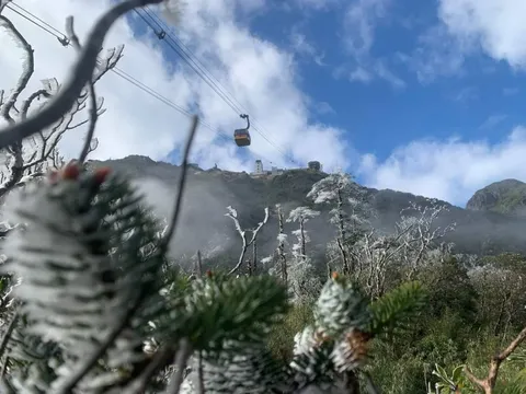 Không khí lạnh tăng cường, miền Bắc tiếp tục xuất hiện băng giá