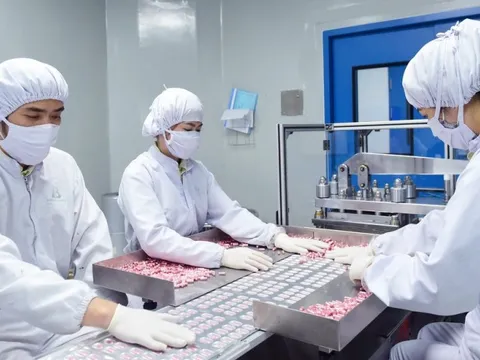 Thiếu nhạc trưởng phát triển ngành dược - Chậm nhịp, yếu thế