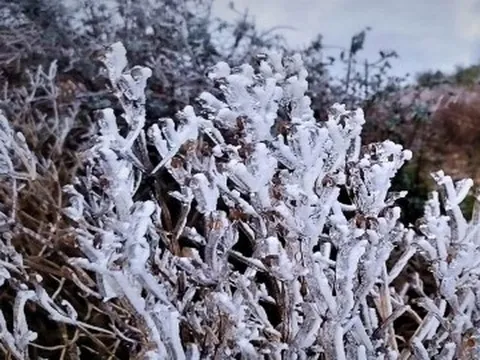 Không khí lạnh tăng cường gây rét đậm rét hại ở miền Bắc, mưa to ở miền Trung