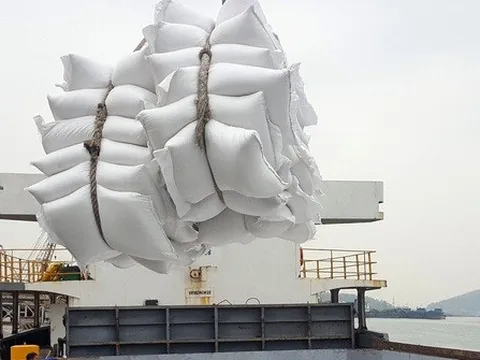 Việt Nam dự kiến xuất khẩu hơn 7 triệu tấn gạo