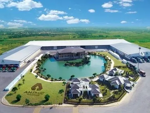 Cổ phiếu AAA giảm sâu, An Phát Holdings chi tiền đỡ giá