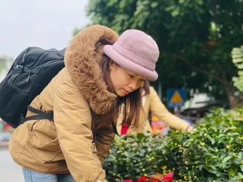 Chợ hoa Hoàng Hoa Thám rực rỡ, náo nhiệt mùa cận Tết