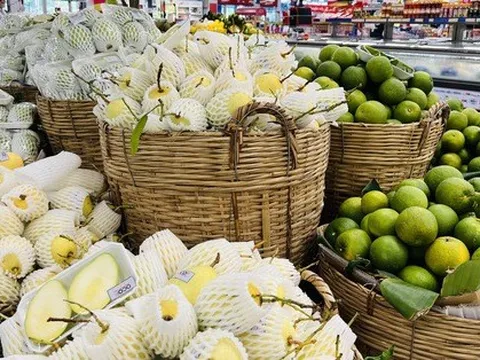 Năm nay xuất khẩu trái cây mang về hơn 3,1 tỉ USD, năm 2023 kỳ vọng bao nhiêu?