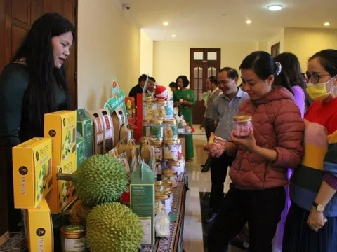 Quỹ hỗ trợ nông dân tỉnh Đắk Lắk giúp nhiều hội viên làm giàu