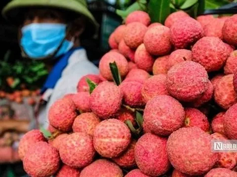 Sự hiện diện của nông sản Việt Nam tại thị trường Hoa Kỳ còn hạn chế