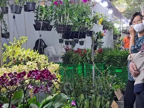 Hàng Tết độc, lạ hút khách