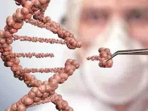 Phát hiện 155 gene mới cho thấy con người vẫn đang tiến hóa