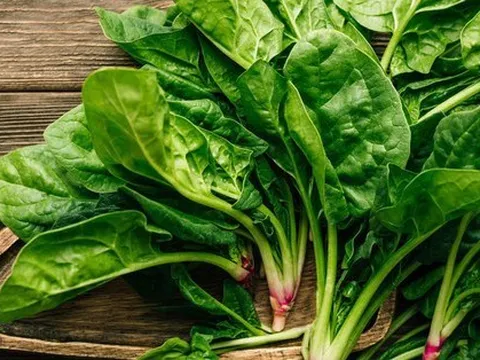 Hàng trăm người ÚC bị ngộ độc do ăn rau chân vịt