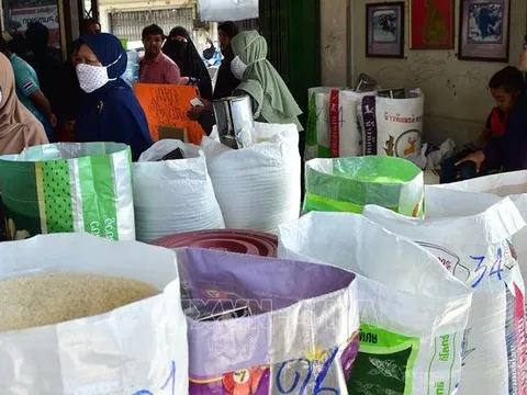 Gạo Thái Lan nỗ lực tìm lại vị thế