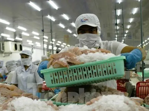 Nhiều địa phương thưởng Tết: Cao cả trăm triệu, thấp chỉ trăm nghìn