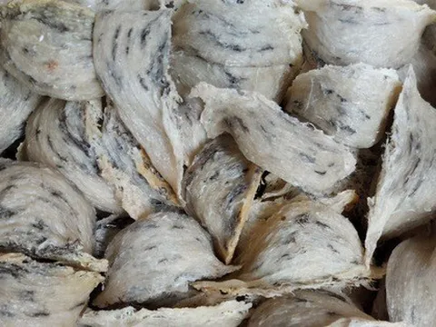 Làm thế nào để phân biệt yến sào thật, yến sào giả từ bột rau câu?