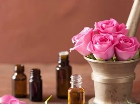 Những loại thảo dược nuôi dưỡng tóc hiệu quả sau tuổi 30