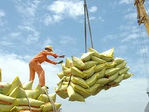 Giá gạo Việt tăng mạnh, dự báo lập kỷ lục 4 tỷ USD