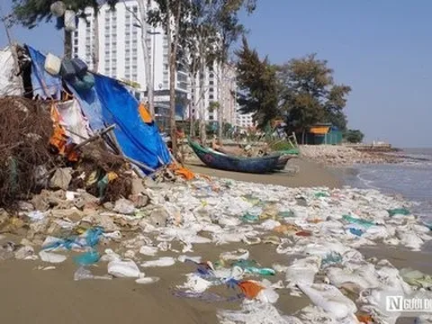 Hình ảnh bãi biển đẹp nhất miền Bắc trước nguy cơ bị "nuốt chửng"