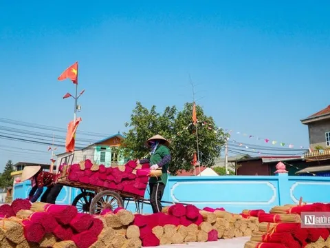 Làng hương ở Hà Nội rực sắc vào vụ Tết