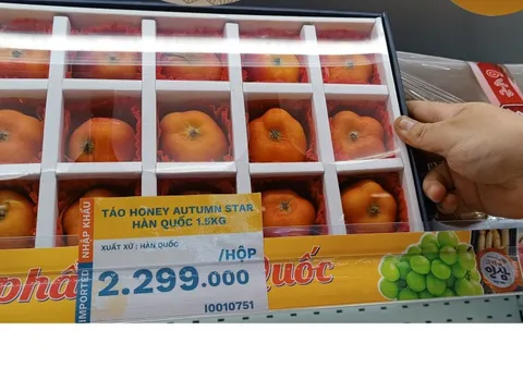 Nhiều loại táo ngoại độc, lạ, đắt đỏ đổ bộ mùa Tết