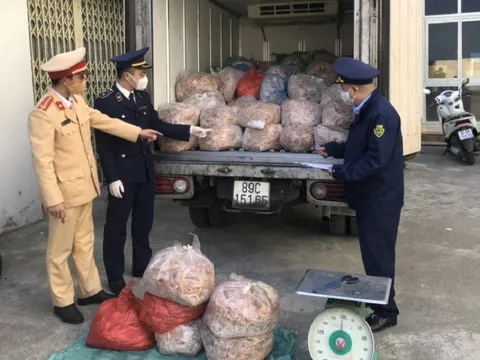 Bắt ôtô chở 1,4 tấn bì heo bốc mùi mang vào Thanh Hóa tiêu thụ