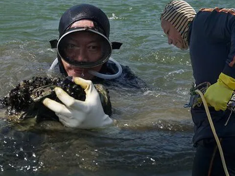 Ảnh: Những ngư dân cột hơn 10kg chì vào người, lặn xuống đáy sông Hàn mưu sinh ngày giá rét